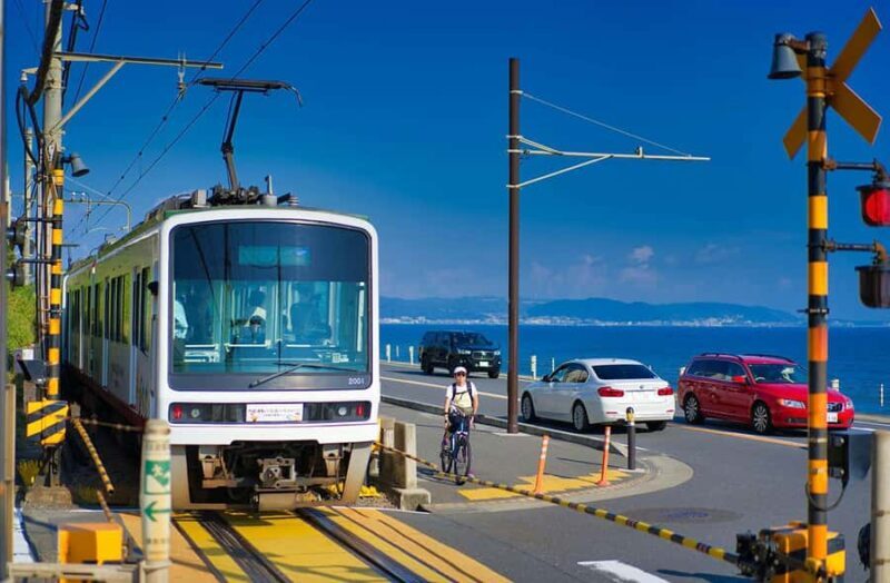 Kamakura: Cherry Blossom Full Day Tour with Expert Guide - Good To Know