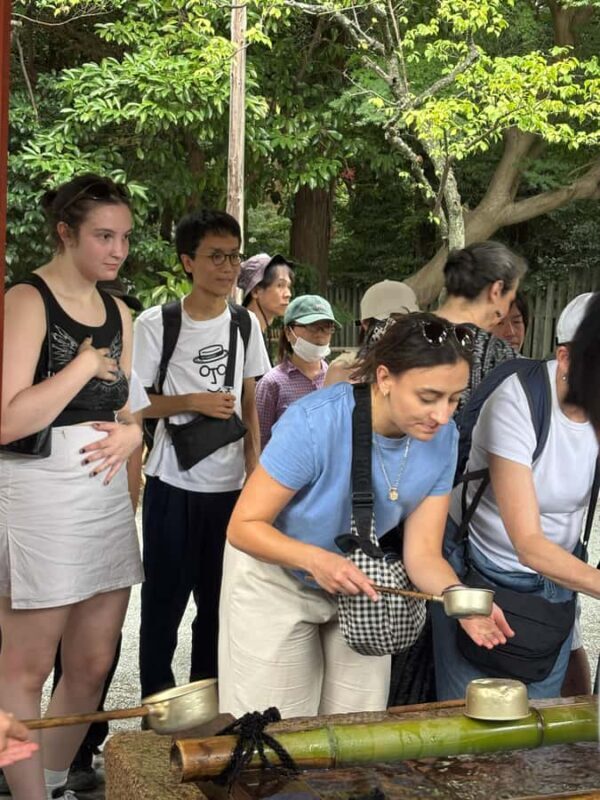 Kamakura: Customizable Guided Tour with Tea Ceremony - Who Should Consider This Tour?