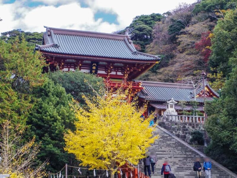 Kamakura: Customized Half-Day Tour with Professional Guide - Authenticity and Value