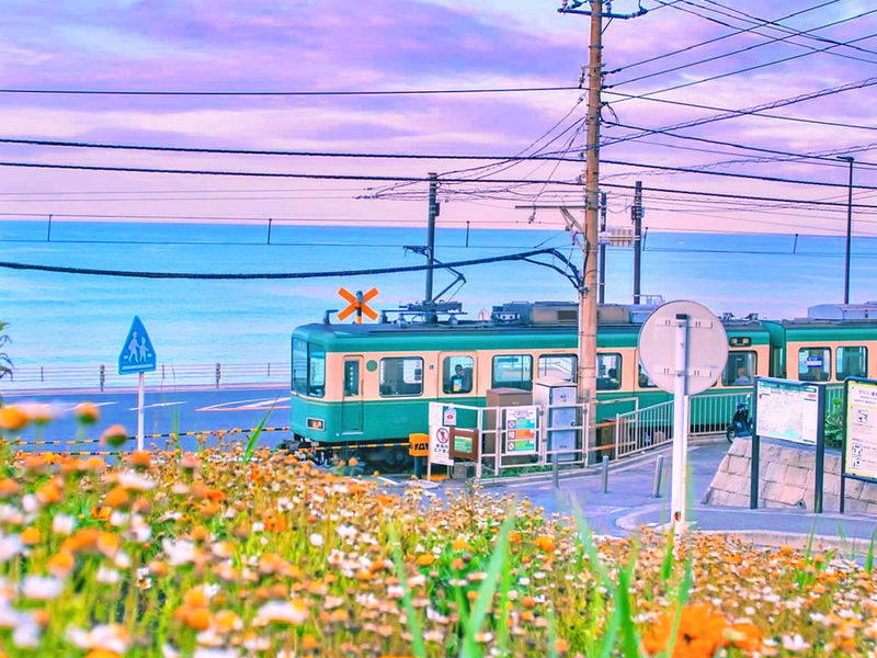 Kamakura Daibutsu & Enoden (free ticket) & Kamakura Koko-mae Station & Shonan Coast & Enoshima & Tsurugaoka Hachimangu Shrine One-Day Tour - A Tokyo day out with several sides to Kamakura