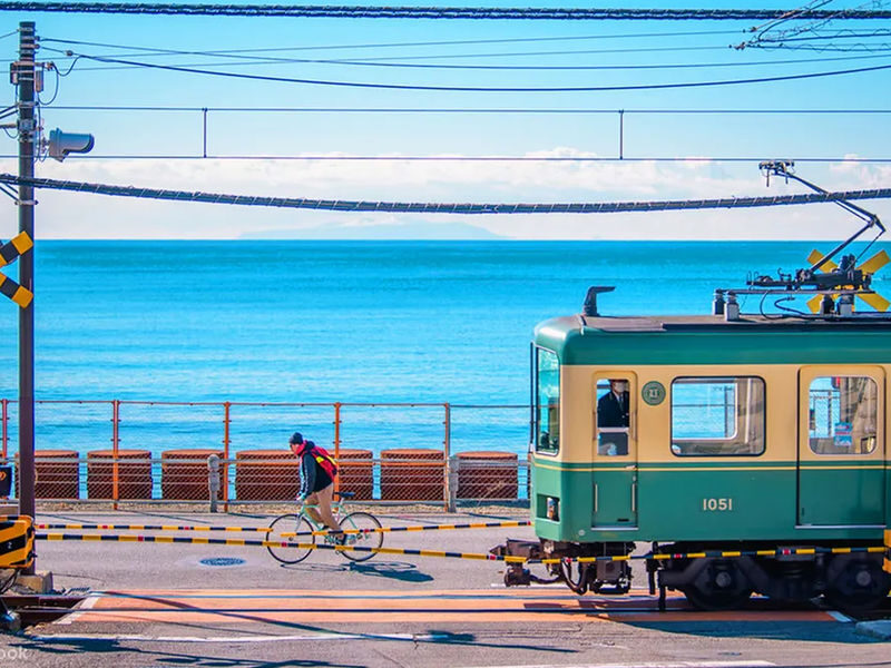 Kamakura Daibutsu & Enoden (free ticket) & Kamakura Koko-mae Station & Shonan Coast & Enoshima & Tsurugaoka Hachimangu Shrine One-Day Tour - Shonan Coast: a change of pace by the water