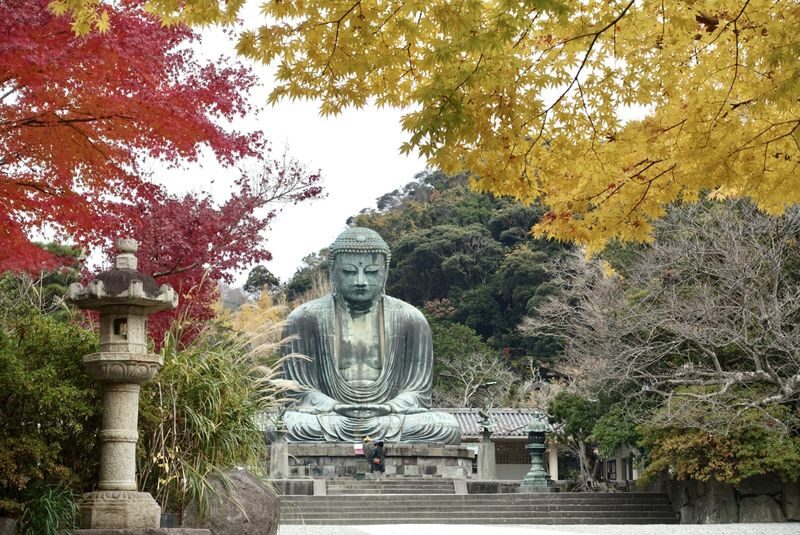 Kamakura Daibutsu Half-Day Private Customizable Tour - At a glance