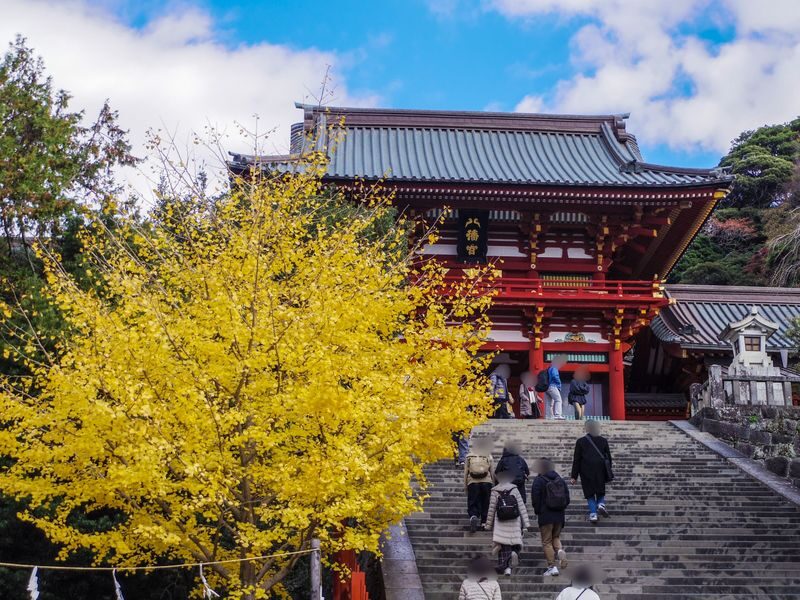 Kamakura Daibutsu Half-Day Private Customizable Tour - Shrines, a bamboo garden, and quieter corners
