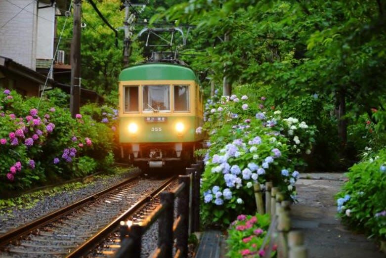 Kamakura Daibutsu Half-Day Private Customizable Tour - What Yumiko adds to the walk
