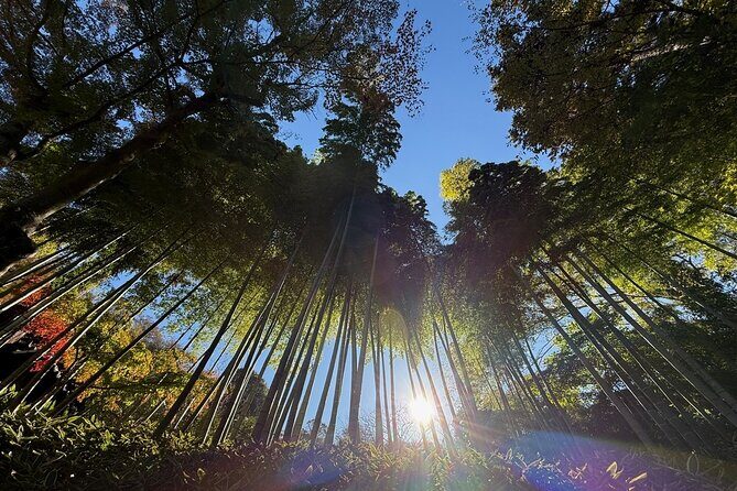 Kamakura Day Trip from Tokyo: Private Guided Walking Tour - Discovering Kamakura: An In-Depth Review of the Private Guided Tour