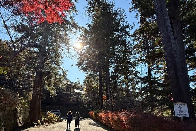 Kamakura Day Trip from Tokyo: Private Guided Walking Tour - Final Thoughts