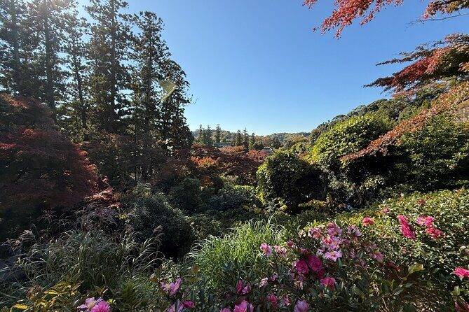 Kamakura Day Trip from Tokyo: Private Guided Walking Tour - Practical Details and Tips
