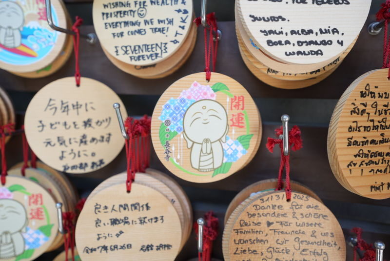 Kamakura Early Bird Morning Tour (Tokyo Departure Option Available) - The Great Buddha at Kotoku-in
