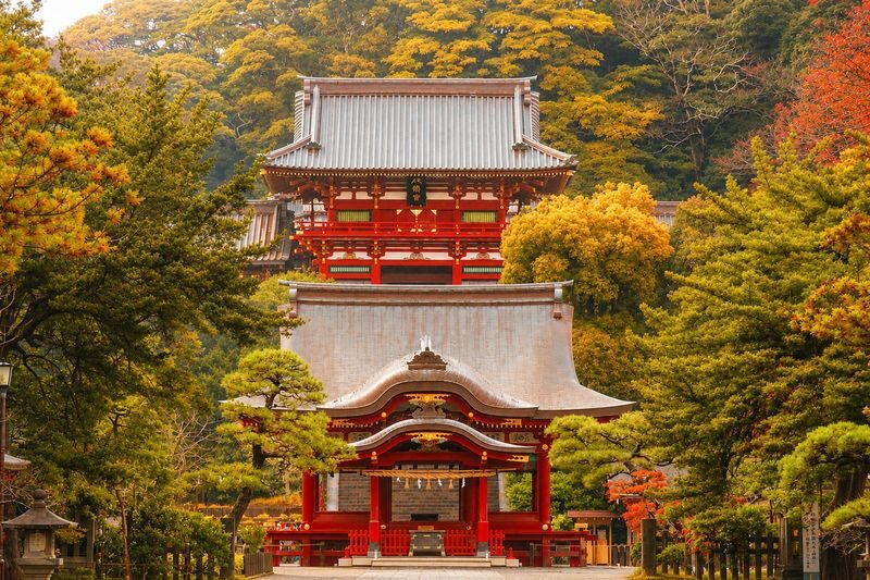 Kamakura & Enoshima Day Trip from Tokyo: Tsurugaoka Hachimangu, Hase-dera, Great Buddha & Mt. Fuji Views - From Tokyo to Kamakura’s old shrine town