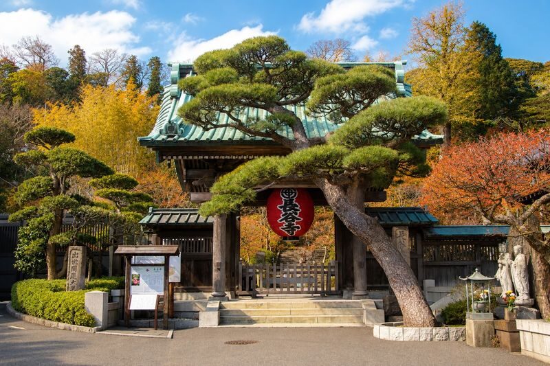 Kamakura & Enoshima Day Trip from Tokyo: Tsurugaoka Hachimangu, Hase-dera, Great Buddha & Mt. Fuji Views - Hase-dera and the Great Buddha