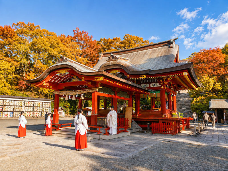 Kamakura & Enoshima Day Trip from Tokyo: Tsurugaoka Hachimangu, Hase-dera, Great Buddha & Mt. Fuji Views - Guides, free time and the rhythm of the day