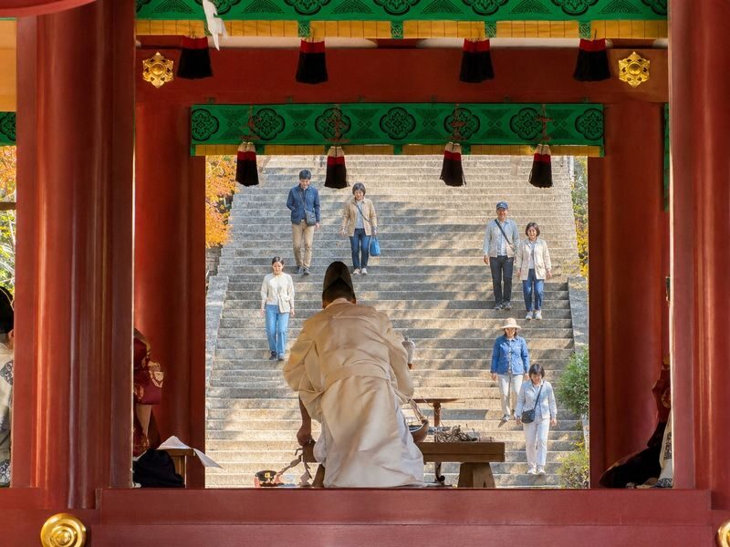Kamakura & Enoshima Day Trip from Tokyo: Tsurugaoka Hachimangu, Hase-dera, Great Buddha & Mt. Fuji Views - Is $35.39 good value?