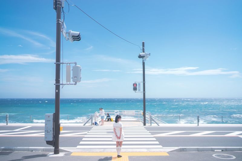 Kamakura Enoshima Full-Day Small Group Anime Pilgrimage Tour - What the driver-guide role means
