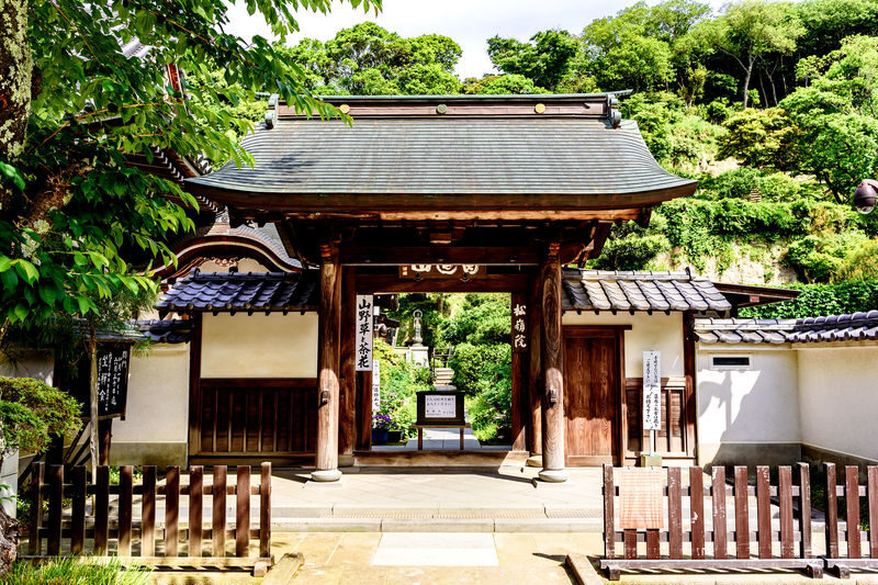 Kamakura & Enoshima Island Full-Day Private Tour - Kotoku-in’s Great Buddha is the central sight