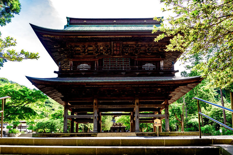Kamakura & Enoshima Island Full-Day Private Tour - Hase-dera pairs temple grounds with coastal views