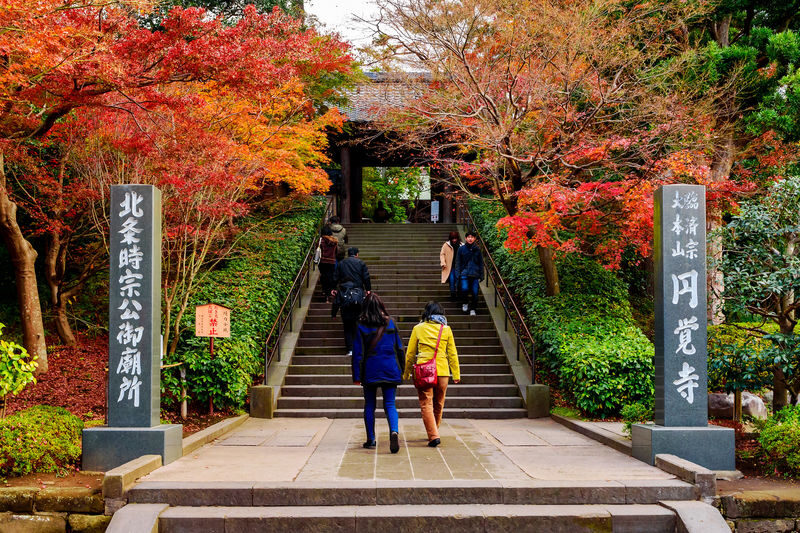 Kamakura & Enoshima Island Full-Day Private Tour - Who will get the most from this private day