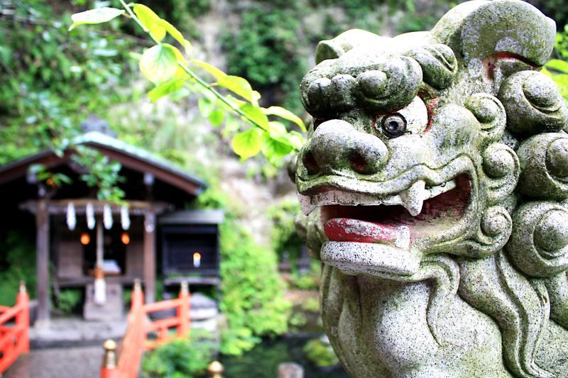 Kamakura & Enoshima Island Full-Day Private Tour - Practical details worth settling before departure