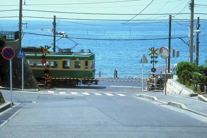 Kamakura/Enoshima/Yokohama Day Trip from Tokyo in Private Van - The Value of a Private, Customized Day