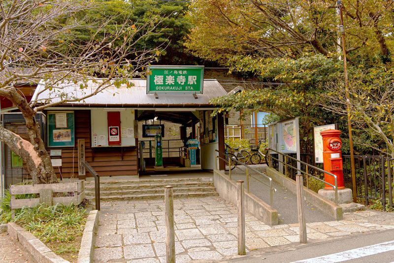 Kamakura, Enoshima & Yokohama Day Trip from Tokyo with Enoden Train - Pick your afternoon: Kamakura or Yokohama