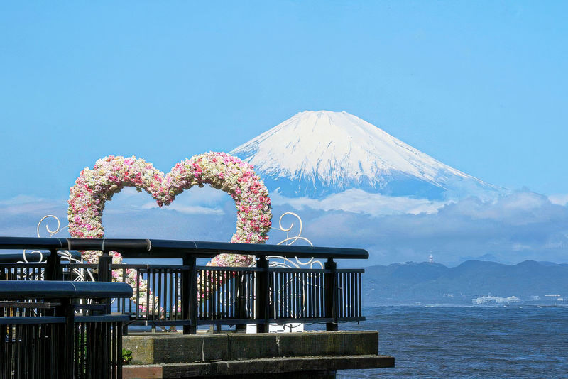 Kamakura, Enoshima & Yokohama Day Trip from Tokyo with Enoden Train - Who will enjoy this trip most