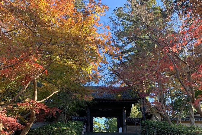 Kamakura Flower Tour - Group Pricing Options