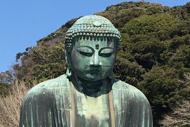 Kamakura Flower Tour - Company Background and Experience
