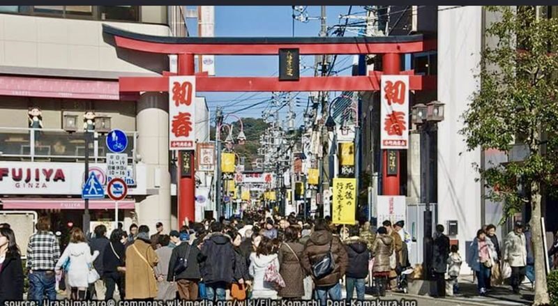 Kamakura Full-Day Private Tour from Tokyo - Ask these questions before you book