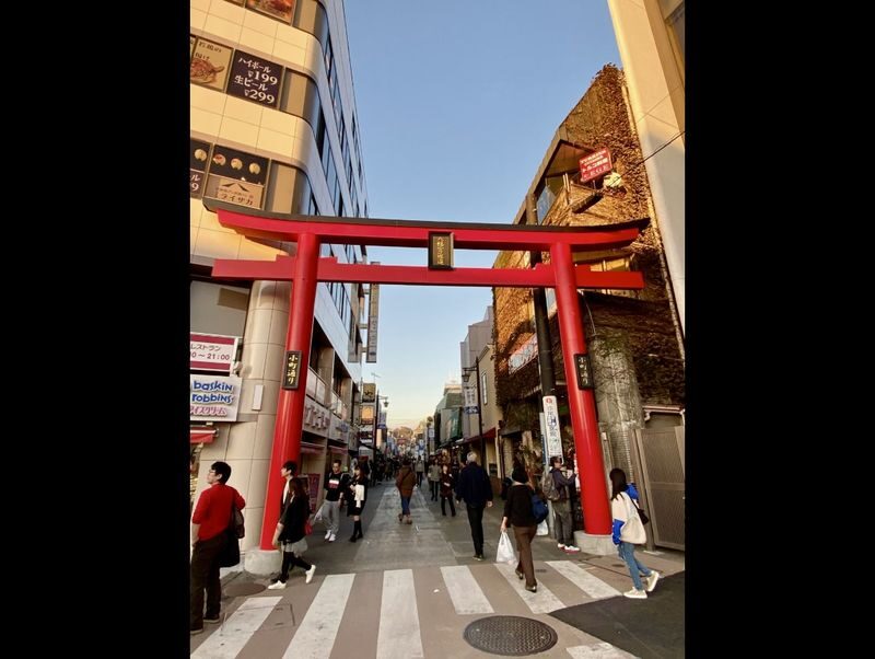 Kamakura Full-Day Private Tour from Tokyo - Who should choose this Kamakura tour?