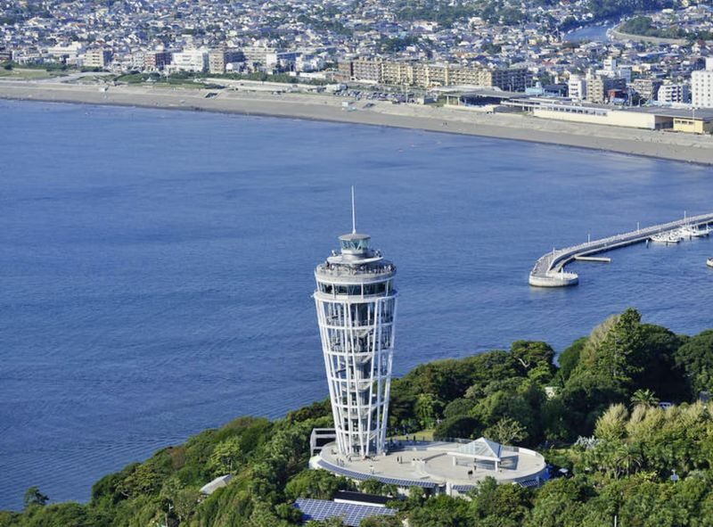 Kamakura Full-Day Private Tour from Tokyo - Should you book?