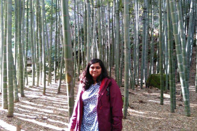 Kamakura Full Day Tour With Licensed Guide and Vehicle - Key Features of the Tour