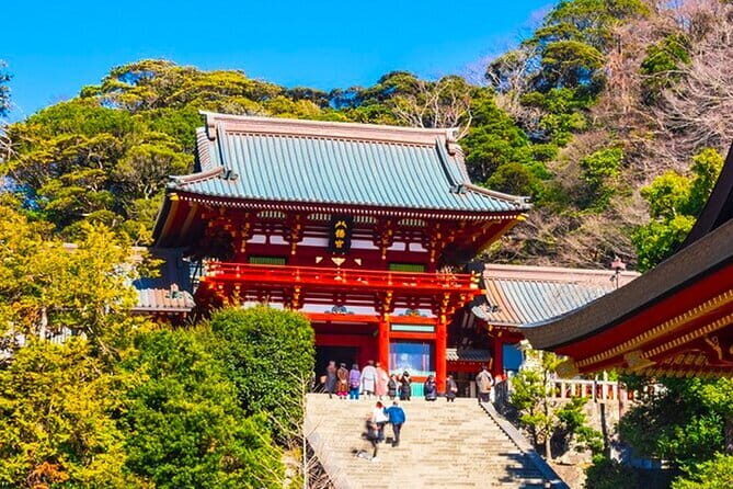 Kamakura Great Buddha and Enoshima with hotel Pickup small group - The Itinerary in Detail: What to Expect