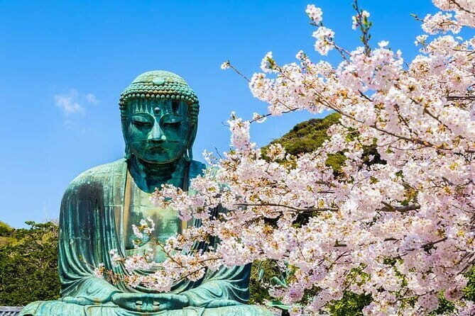 Kamakura Great Buddha and Enoshima with hotel Pickup small group - Good To Know