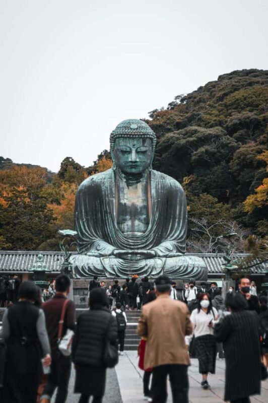Kamakura: Great Buddha, Enoshima, and Yokohama Private tour - Transportation, guide expertise, and overall value