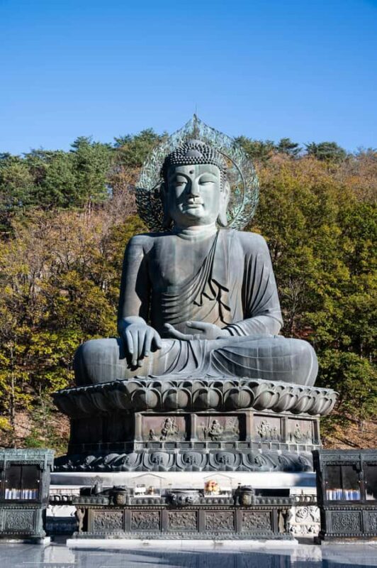 Kamakura: Great Buddha, Enoshima, and Yokohama Private tour - Good To Know