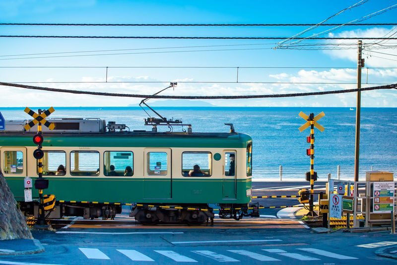 Kamakura Great Buddha & Hakone Shrine Transfer & Private Car Day Tour - Key points to know