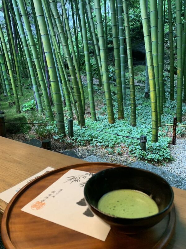 Kamakura Great Buddha & Hakone Shrine Transfer & Private Car Day Tour - Hakone Shrine and the Heiwa no Torii