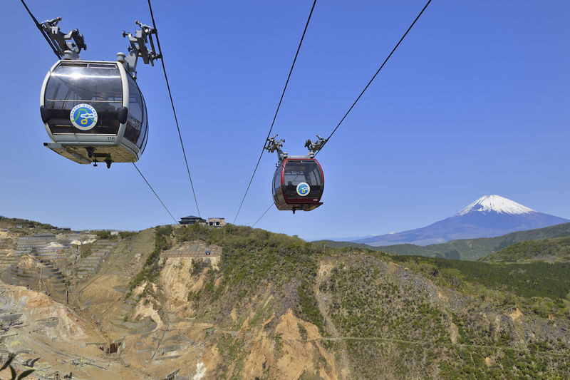 Kamakura Great Buddha & Hakone Shrine Transfer & Private Car Day Tour - What the private car is worth