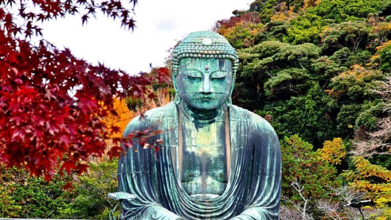 Kamakura: Great Buddha Hike, Hidden Shrines & Zen Temples - Final Thoughts: Is It Worth It?