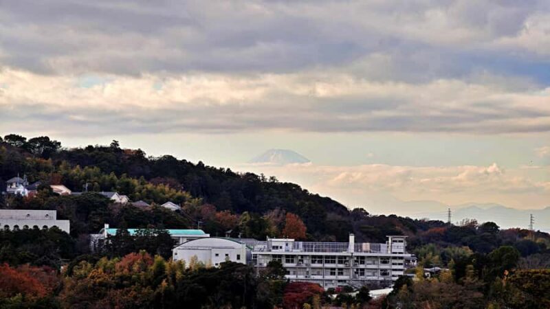 Kamakura: Great Buddha Hike, Hidden Shrines & Zen Temples - Final Thoughts