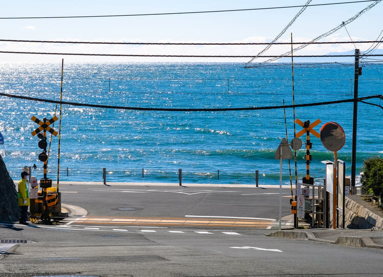 Kamakura Great Buddha & Tsurugaoka Hachimangu Shrine & Enoshima & Kamakura High School One Day Tour | Depart from Tokyo - The practical points at a glance