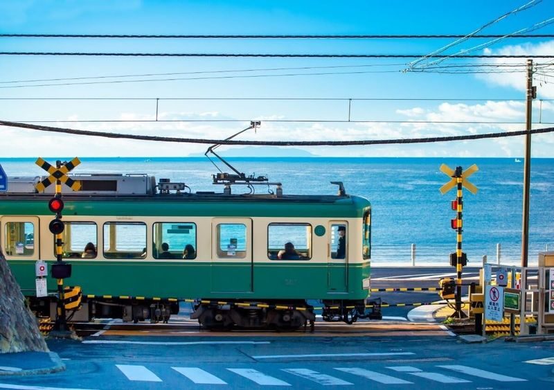 Kamakura Great Buddha & Tsurugaoka Hachimangu Shrine & Enoshima & Kamakura High School One Day Tour | Depart from Tokyo - The Great Buddha at Kotoku-in