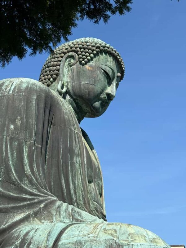 Kamakura Guided Tour with a 5 STAR Tour Guide - Exploring Kamakura with a Skilled Guide