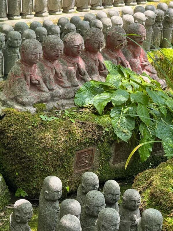 Kamakura Guided Tour with a 5 STAR Tour Guide - Detailed Breakdown of the Itinerary