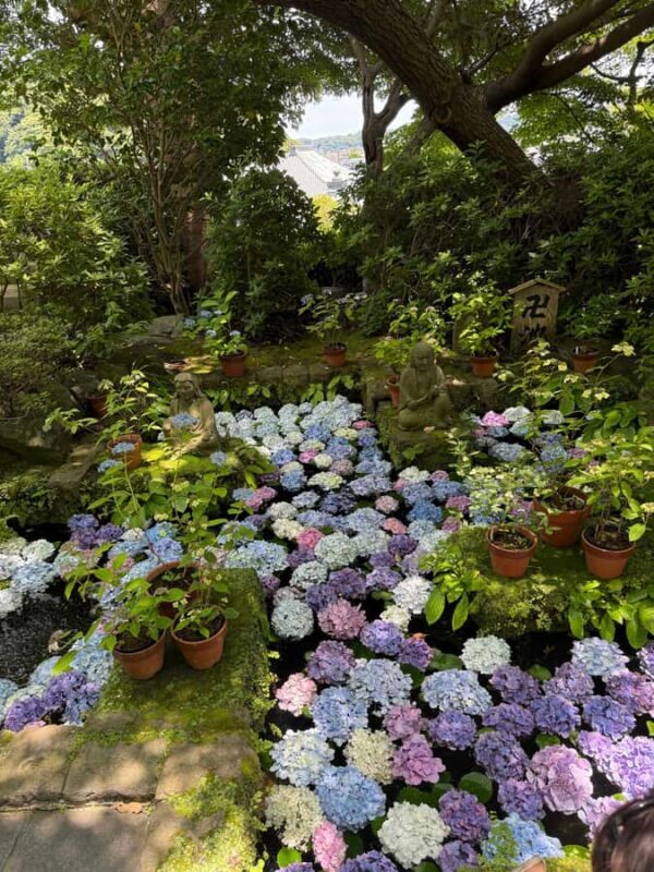 Kamakura Guided Tour with a 5 STAR Tour Guide - FAQ