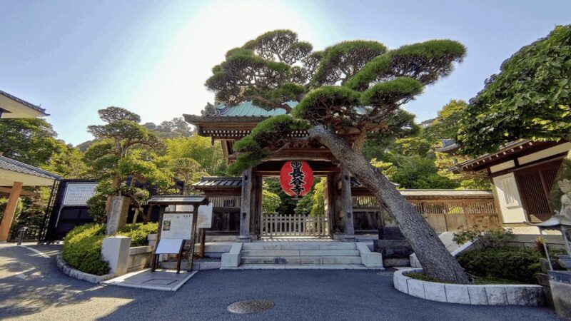 Kamakura Half Day Tour with a Local Expert Guide - The Guide Experience and Reviews