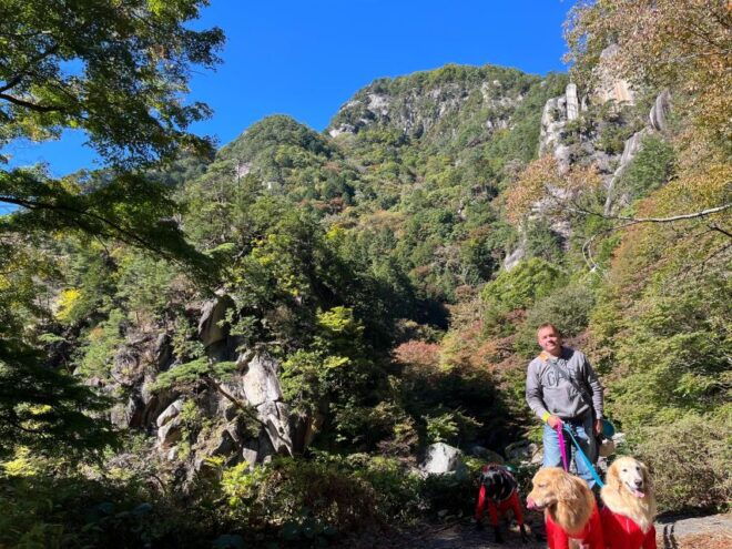 Kamakura Half Day Tour With a Local - Highlights