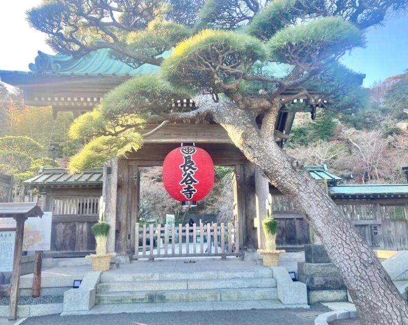 Kamakura: Half day Walking tour & Japanese sweets - Final Thoughts