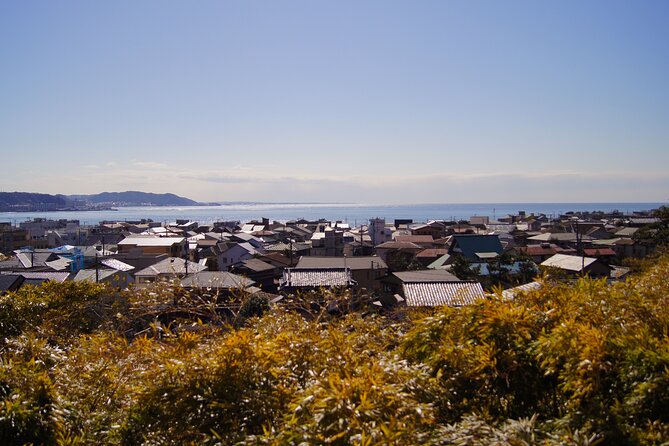 Kamakura Half Day Walking Tour With Local Experience - Tour Details
