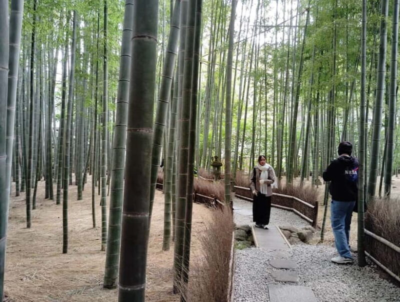 Kamakura: Hidden Gems and Sacred Sites Guided Tour - FAQ