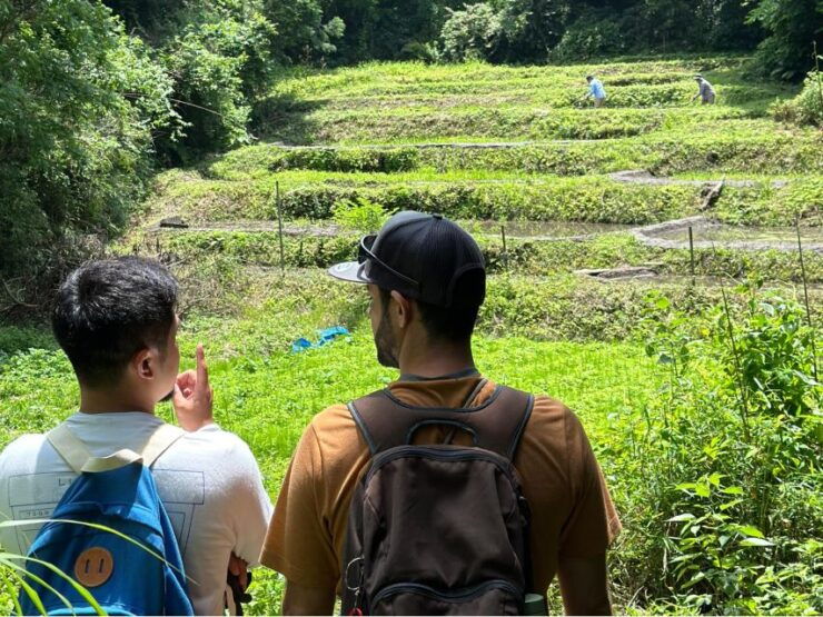 Kamakura Hidden Hike - Historical Significance of Kamakura